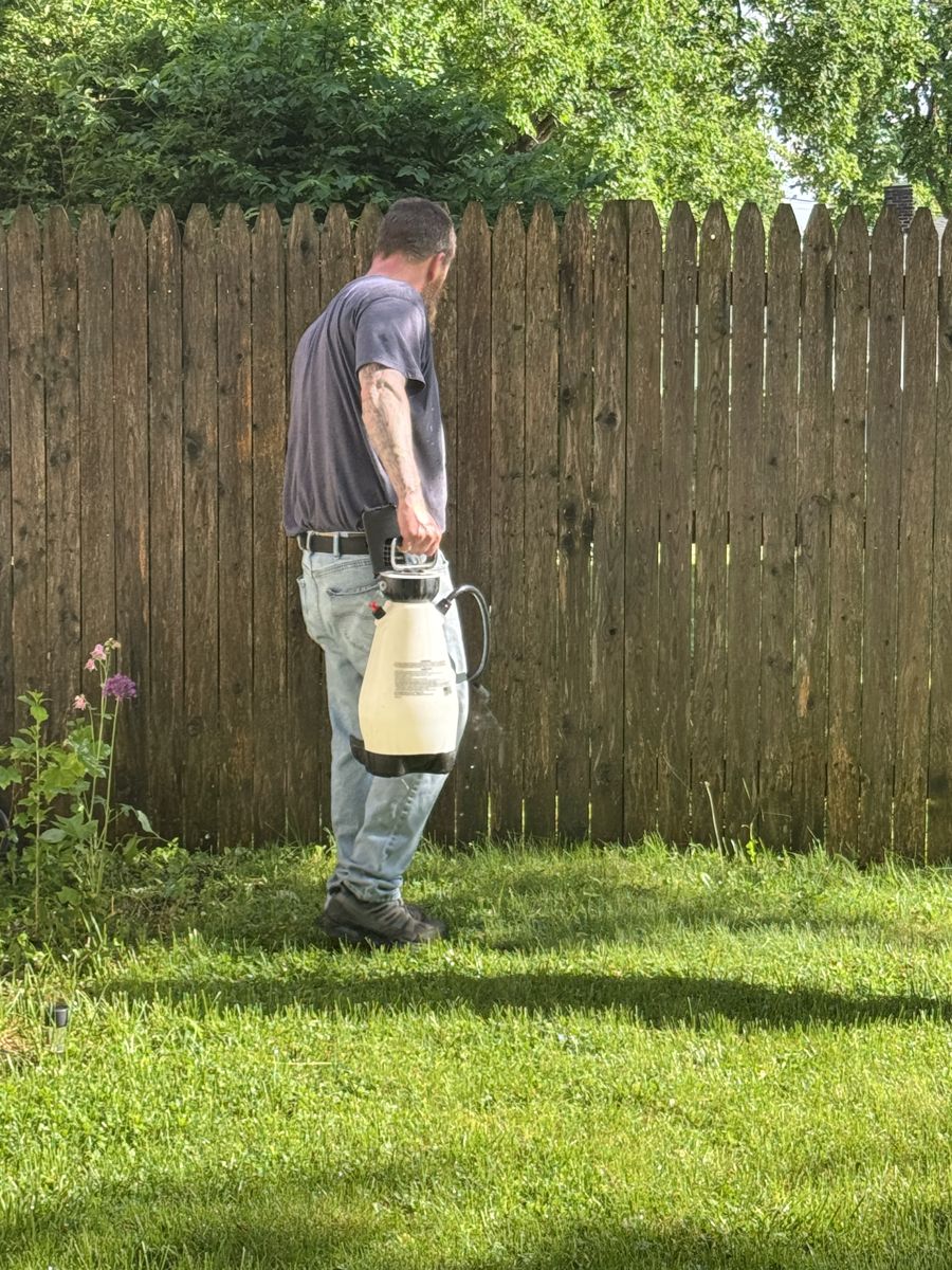 Fence cleaning