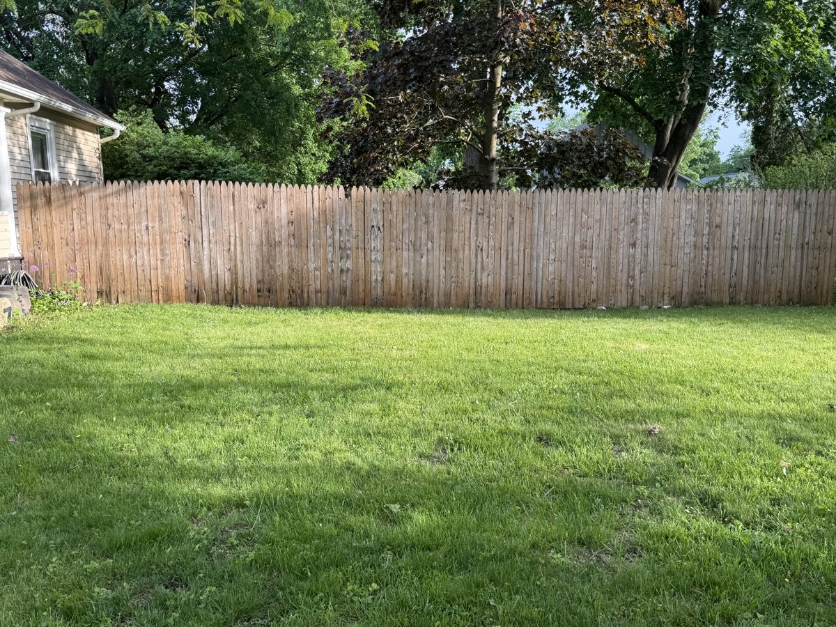 Fence cleaning