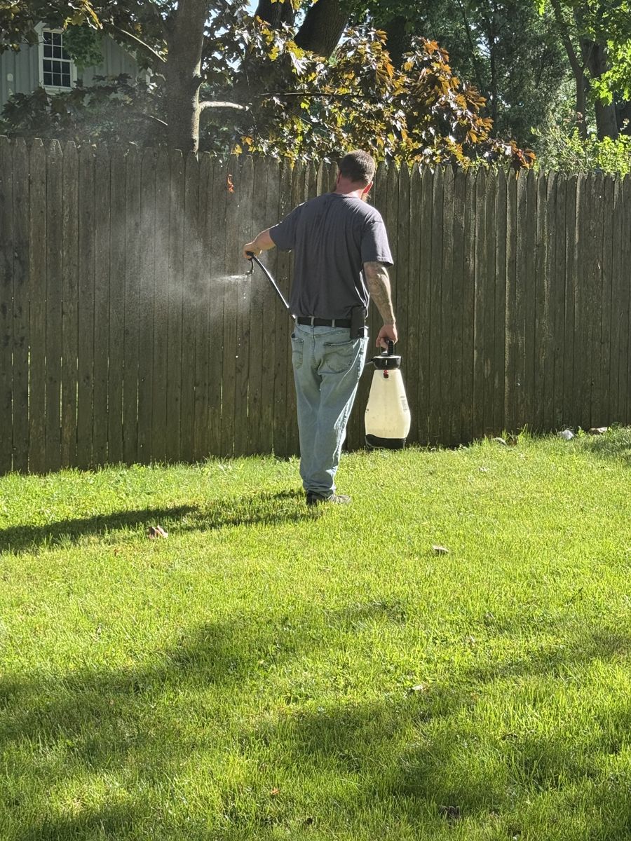 Fence cleaning